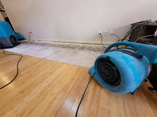 Professional Water Removal technician working in Inman, SC